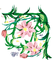 �ԃt���[��