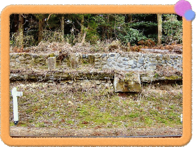 �t���[��